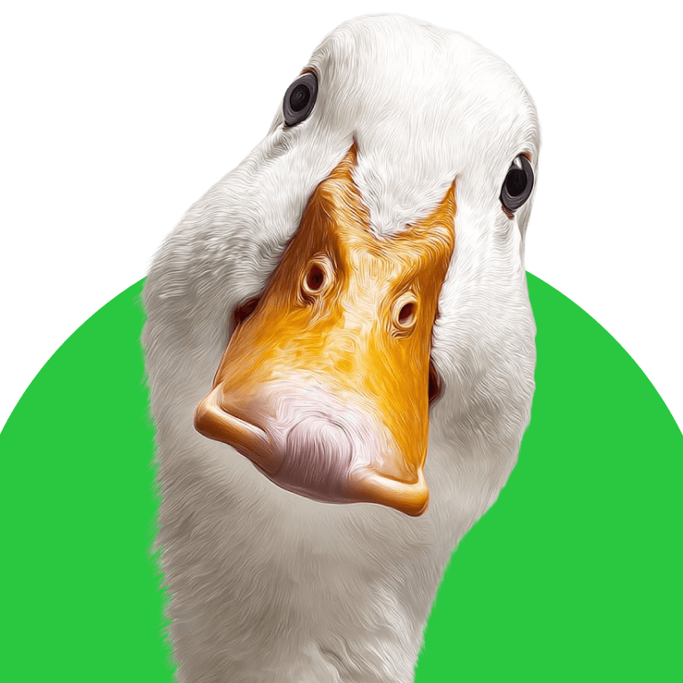 Qushlar